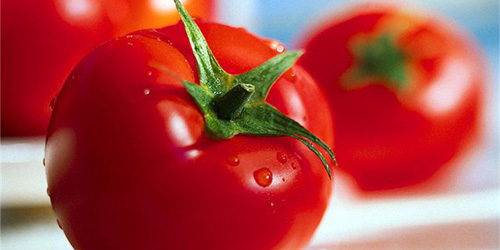 pomidory-2.jpg
