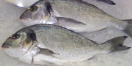 Приснилась во сне рыба мороженая. zamorojennaya ryba 2. Приснилась во сне рыба мороженая фото. Приснилась во сне рыба мороженая-zamorojennaya ryba 2. картинка Приснилась во сне рыба мороженая. картинка zamorojennaya ryba 2. Рыба тесно связанна с водой, которая в свою очередь, отвечает за чувственно-эмоциональную сферу в жизни человека. Лед (замороженная вода) – признак торможения, приостановки или преобразования деятельности. Чтобы узнать к чему снится замороженная рыба, необходимо объединить эти два понятия и посмотреть их значение в соннике, предварительно припомнив и проанализировав приснившуюся картинку.