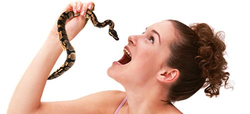 кушать змею