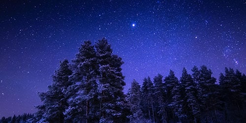 Звезды в ночном небе