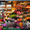Покупать цветы