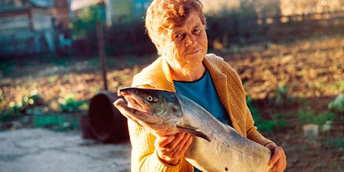 к чему снится пожилая женщина с рыбой в руках