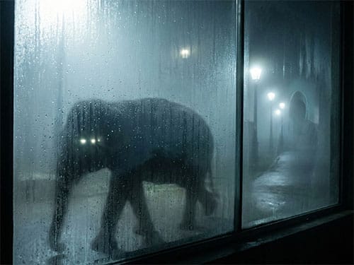 Работать в зоопарке