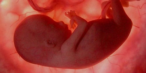 к чему снится эмбрион