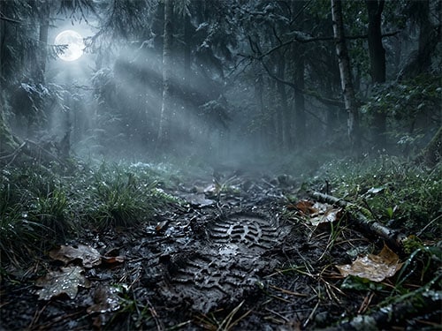 След от подошвы на земле