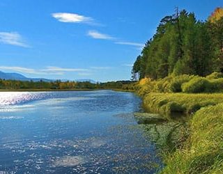 Берег реки