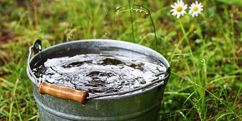 к чему снится ведро с водой