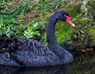 К чему снится шпагат во сне девушке