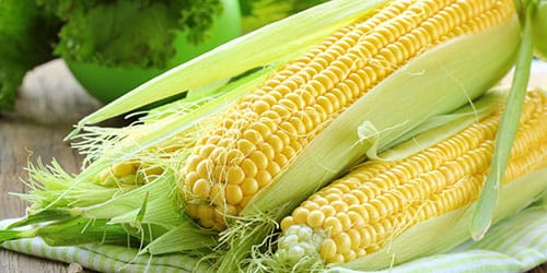 К чему снится початки кукурузы thumbnail