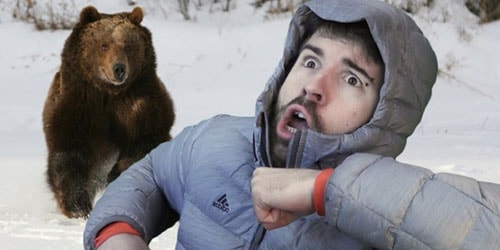 убегать от медведя
