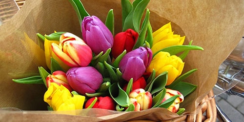 к чему снятся тюльпаны разных цветов