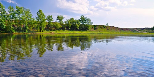 большая вода во сне