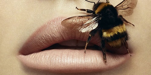 Во сне кусают пчелы к чему это thumbnail