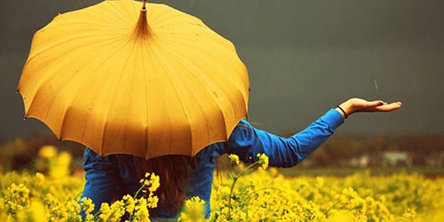 желтый зонт
