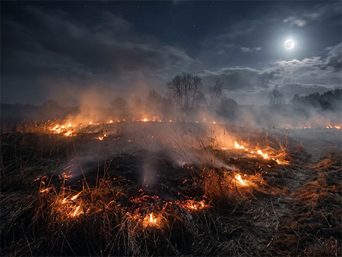Горит трава