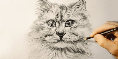 нарисованный кот