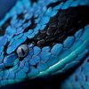 Голубая змея