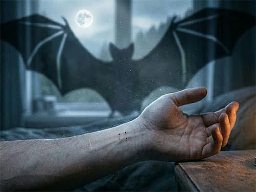 Летучая мышь укусила