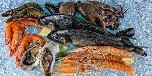 морепродукты