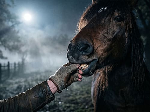 Укус лошади за руку