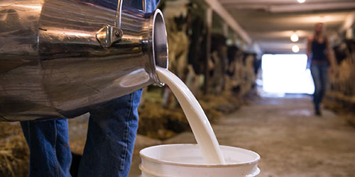 К чему сниться молоко много молока thumbnail