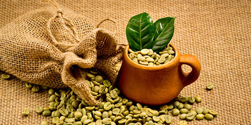 зеленые кофейные зерна