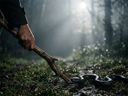 Убить змею палкой