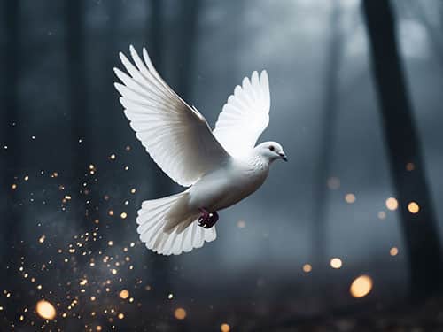 Белый голубь в полете