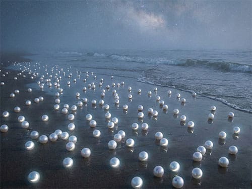 Жемчужины на берегу