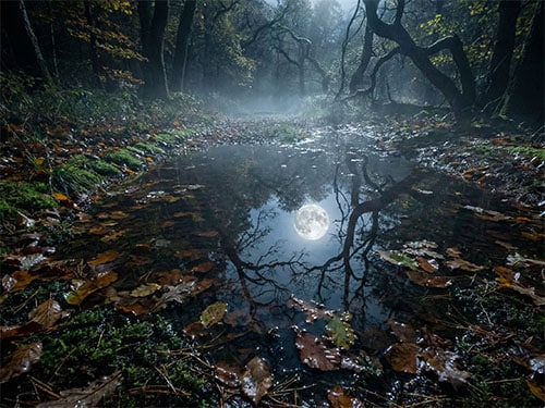 Большая лужа