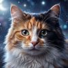 Трехцветная кошка