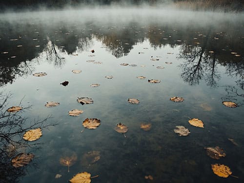 Стоячая грязная вода