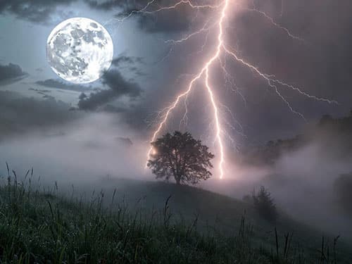 Молния ударила в дерево