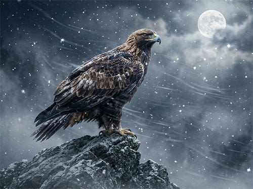 Орел на скале