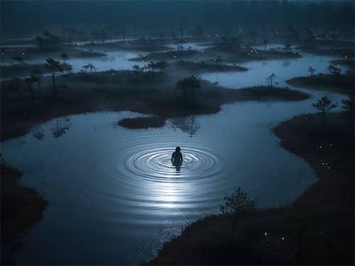 Погружение в болото