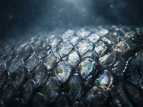 Рыбья чешуя