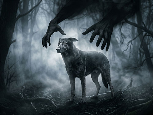 Душить собаку