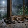 Умирающий кот или кошка